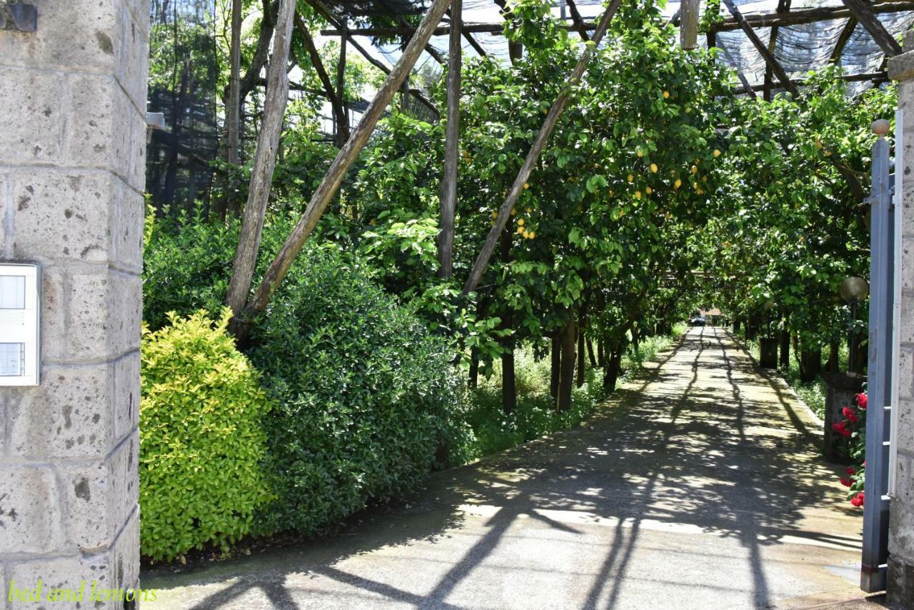 Bed and Breakfast Bed And Lemons Piano di Sorrento Exterior foto